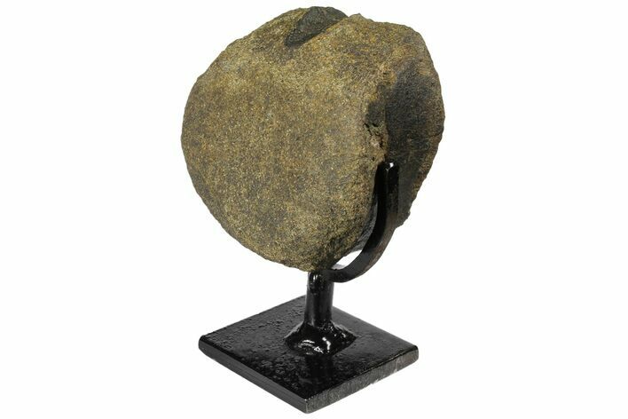 Hadrosaur (Hypacrosaur) Vertebra with Metal Stand - Montana #131994